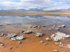 IMG_0439 / Laguna Piedra i Licancabur
