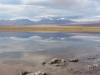 IMG_0441 / Laguna Piedra i Licancabur