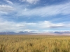 IMG_0461 / Licancabur (5.950 m.)