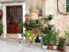 valldemosa III